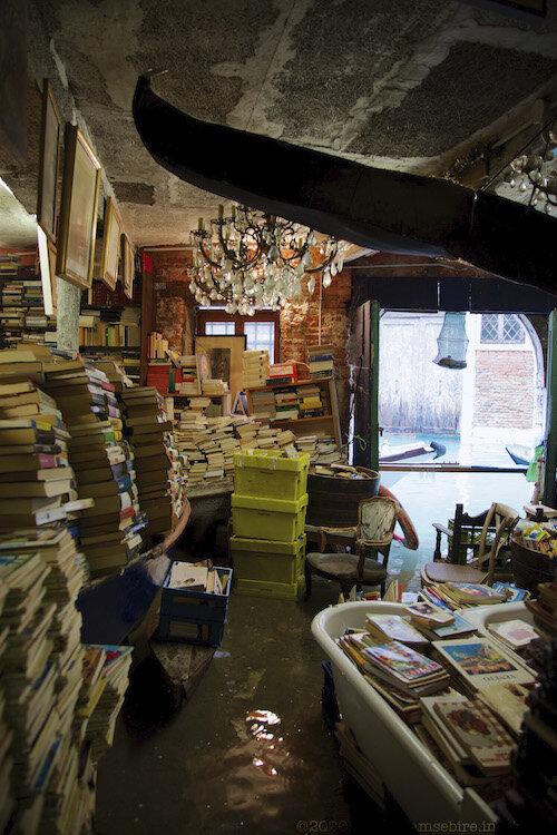 Adam Sebire