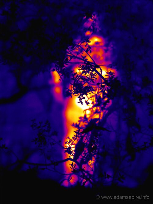 Australian artist Adam Sébire uses an infrared thermographic imager loaned from climate scientists. Whilst they use it to measure heat, Adam's PhD research explores visual representation of climate change and the Anthropocene.
