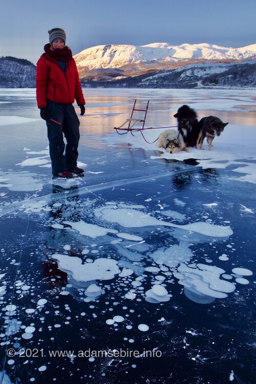 Frozen lake with methane bubbles