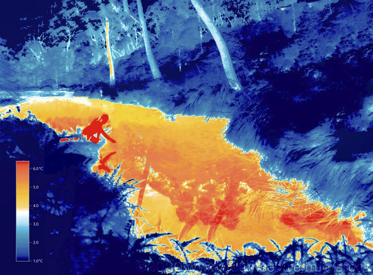 Thermographic (thermal image) artworks exploring climate change and the Anthropocene.

